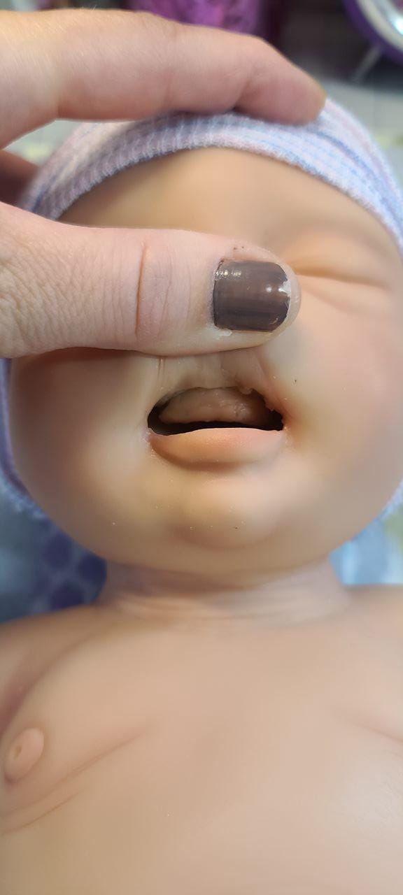 Handmade 22" Silicone Baby Doll "Riley" Enhanced Realism Edition