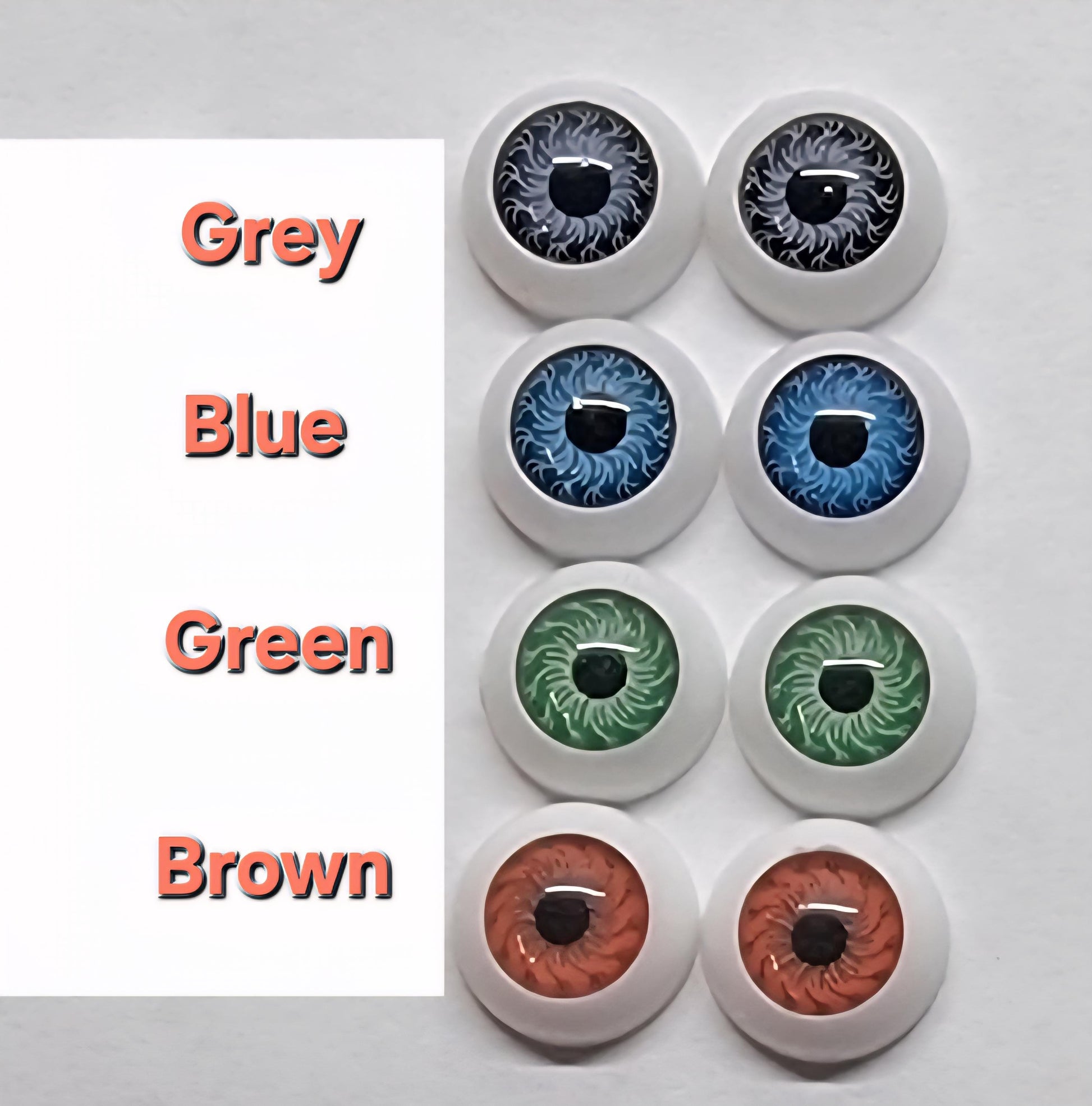 Add on only of Removeable Eyes