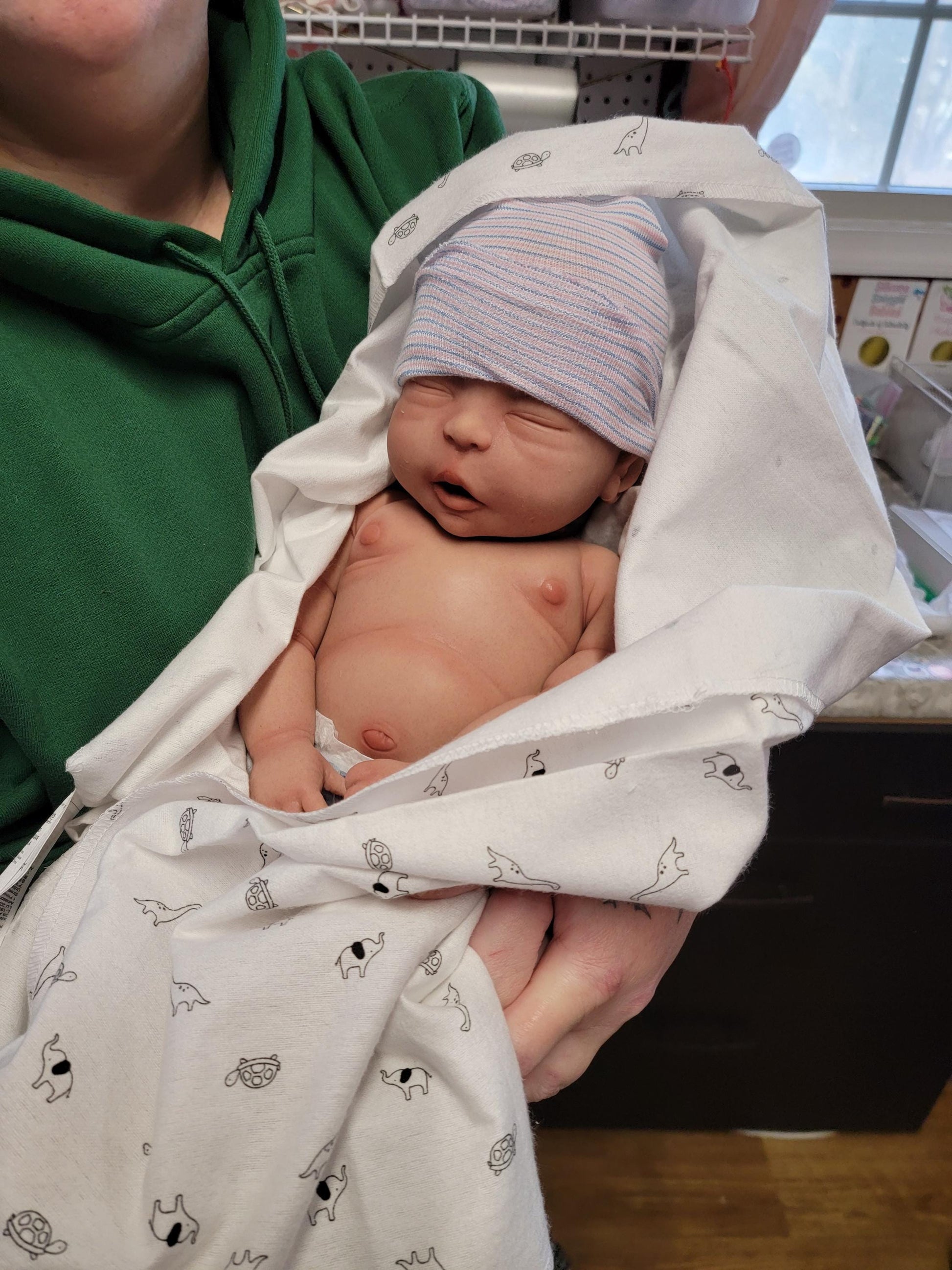 New Enhanced Realism Edition 22" Full Silicone Baby Doll "Dakota"